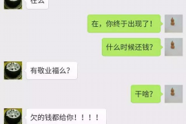 顺城收债公司排名：揭秘债权回收领域的实力派